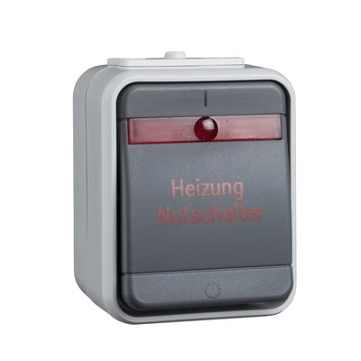 Heizungsnotschalter 2-polig 10A AquaTop Steckklemme licht/basaltgrau