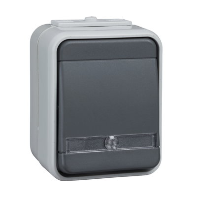 Taster beleuchtet 10A AQUATop Steckklemme licht/basaltgrau