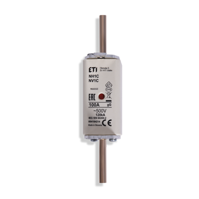 Sicherung-NH1C-100A/500V gG