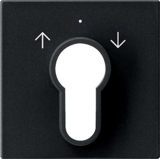 Abd. Schlüsselschalter/-taster System 55 Schwarz m