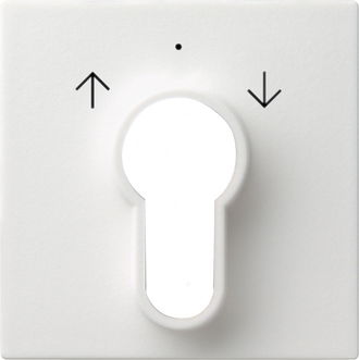 Abd. Schlüsselschalter/-taster System 55 Reinweiß