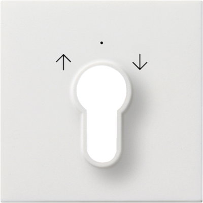 Abd. Schlüsselschalter/-taster Flächenschalter Reinweiß
