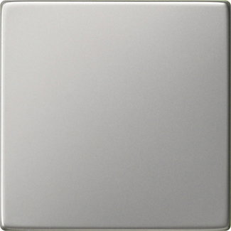 Wippe Tastschalter System 55 Edelstahl