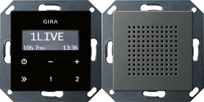 UP-Radio RDS Lautsprecher System 55 Edelstahl