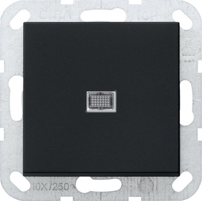 Wipp-Kontroll BS 20 AX Aus 2-p System 55 Schwarz m