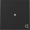 Wippe Kontrollf. + Symb. Steckd. System 55 Schwarz m