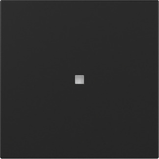 Wippe gerade Kontrollf. System 55 Schwarz m