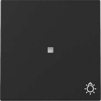 Wippe Kontrollf. + Symb. Licht System 55 Schwarz m
