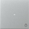 Wippe Kontrollf. + Symb. Licht System 55 F Alu