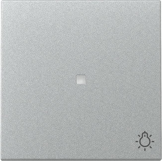 Wippe Kontrollf. + Symb. Licht System 55 F Alu