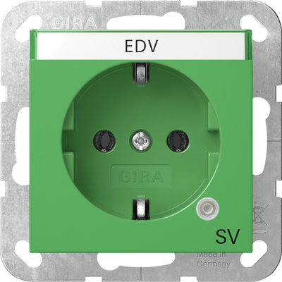 SCHUKO-Steckd. Kontroll GN + BSF SV System 55 Grün