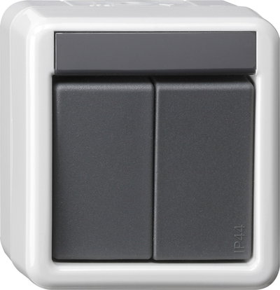 Taster-BA 2f 1-Punkt KNX WG AP Grau
