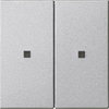Wippe 2f unbedruckt Kontrollf. System 55 F Alu