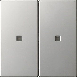 Wippe 2f unbedruckt Kontrollf. System 55 Edelstahl
