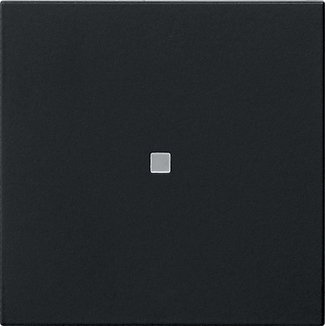 Wippe 1f unbedruckt Kontrollf. System 55 Schwarz m