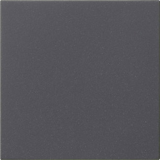 Wippe 1f unbedruckt System 55 Anthrazit