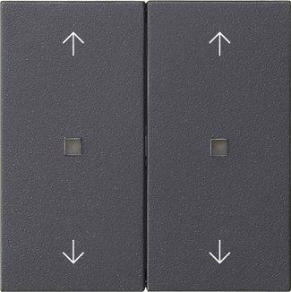 Wippe 2f Pfeile Kontrollf. System 55 Anthrazit