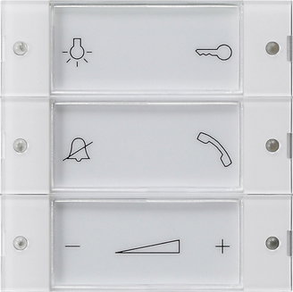 Aufs. Bedientaster Wohnungsstation System 55 Klar