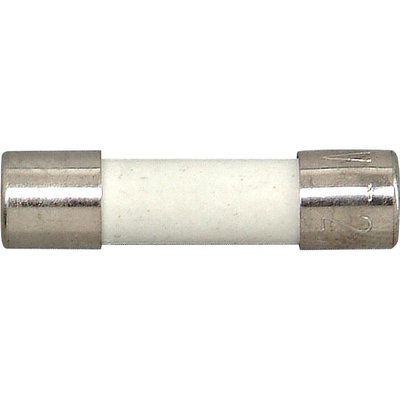 Keramik-Feinsicherungen F 4 A, Inhalt: 3 Stück