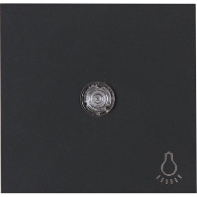 HK07 - Flächenwippe mit Linse und Symbol "Licht", Farbe: anthrazit