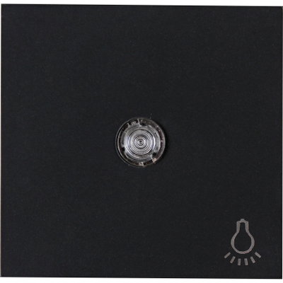 HK07 - Flächenwippe mit Linse und Symbol "Licht", Farbe: schwarz matt