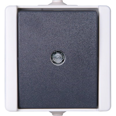 ProAQA - Taster beleuchtet, Farbe: grau