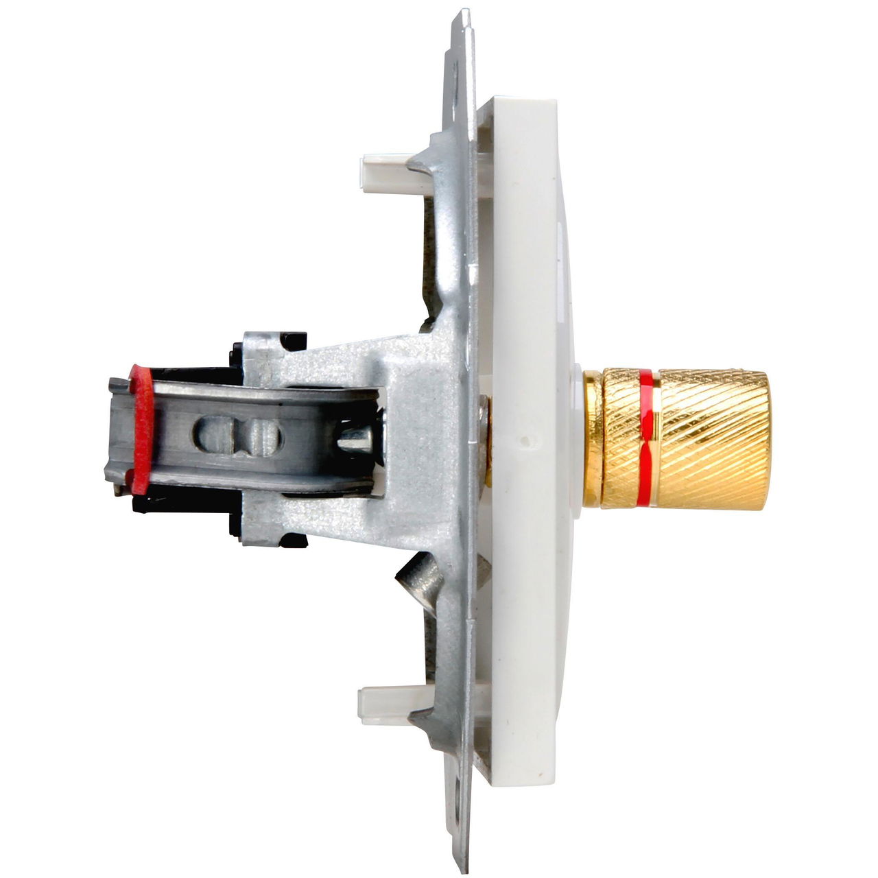 HK07 - Lautsprechersteckdose für 4mm Bananenstecker oder Lautsprecherkabel bis 16mm², Farbe: reinweiß – Bild 7 von 7