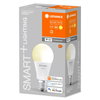 SMART+ WiFi Classic Dimmable 60 9 W/2700 K E27