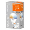 SMART+ WiFi Mini Bulb Tunable White 40 4.9 W/2700…6500 K E14