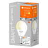 SMART+ WiFi Mini Bulb Dimmable 40 4.9 W/2700 K E14