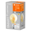 SMART+ WiFi Filament Classic Dimmable 53 6 W/2400 K E27