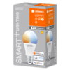 SMART+ WiFi Classic Tunable White 230V TW FR E27 SINGLE PACK