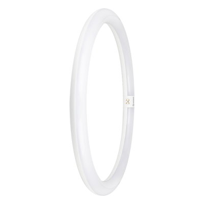 LED-Röhren in Ringform für elektromagnetische Vorschaltgeräte (KVG/VVG) und Netzspannung