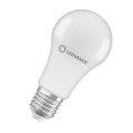 LED-Lampen, klassische A Kolbenform aus recyceltem Plastik