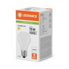 LED-Lampen, klassische Kolbenform