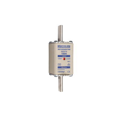 Sicherungseinsatz DIN NH Standard gG Größe NH1 400VAC 160A spannungsführende Grifflaschen (sfü) Doppelkennmelder Körperbreite 40 mm