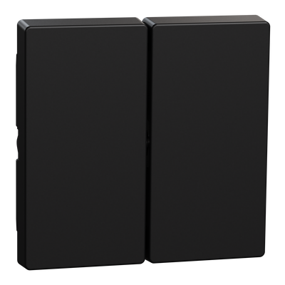 Wippe für Serienschalter, schwarz matt, System M