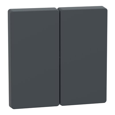 Wippe für Serienschalter, Anthrazit, System Design
