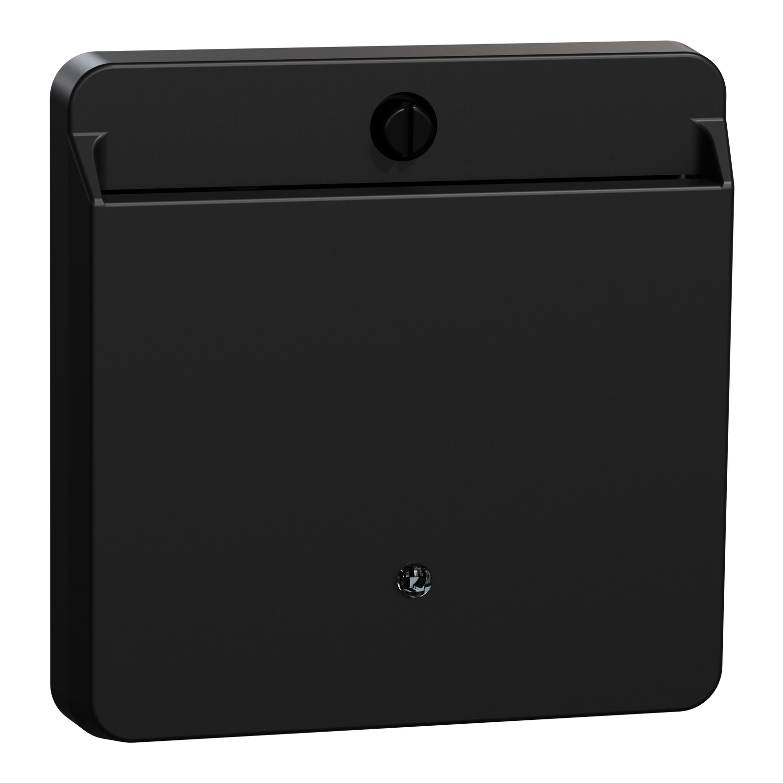 Card-Schalter mit Schriftfeld, schwarz matt, System M