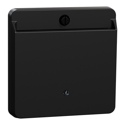 Card-Schalter mit Schriftfeld, schwarz matt, System M