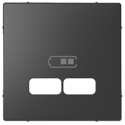 Zentralplatte für USB Ladestation-Einsatz, Anthrazit, System Design