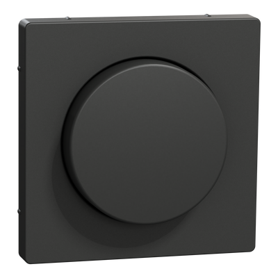Zentralplatte mit Drehknopf, Anthrazit, System Design