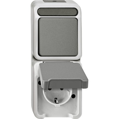 Kombination SCHUKO-Steckdose/ Wechselschalter, lichtgrau, AQUASTAR
