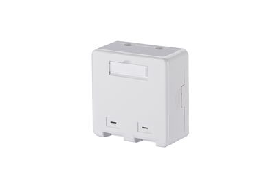 Keystone Anschlussdose AP 2 Port unbestückt reinweiß