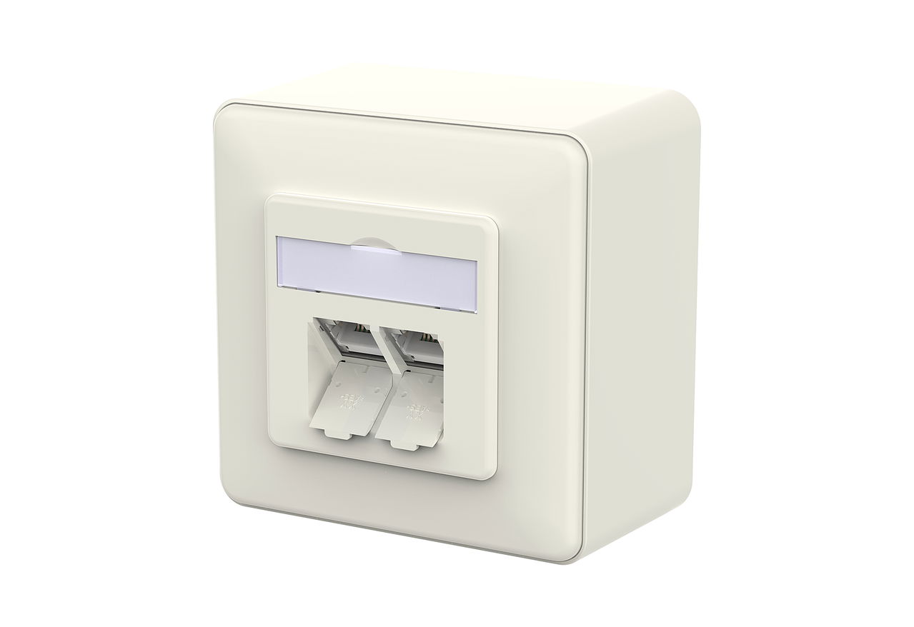 E-DAT C6A IDC 2 Port AP reinweiß
