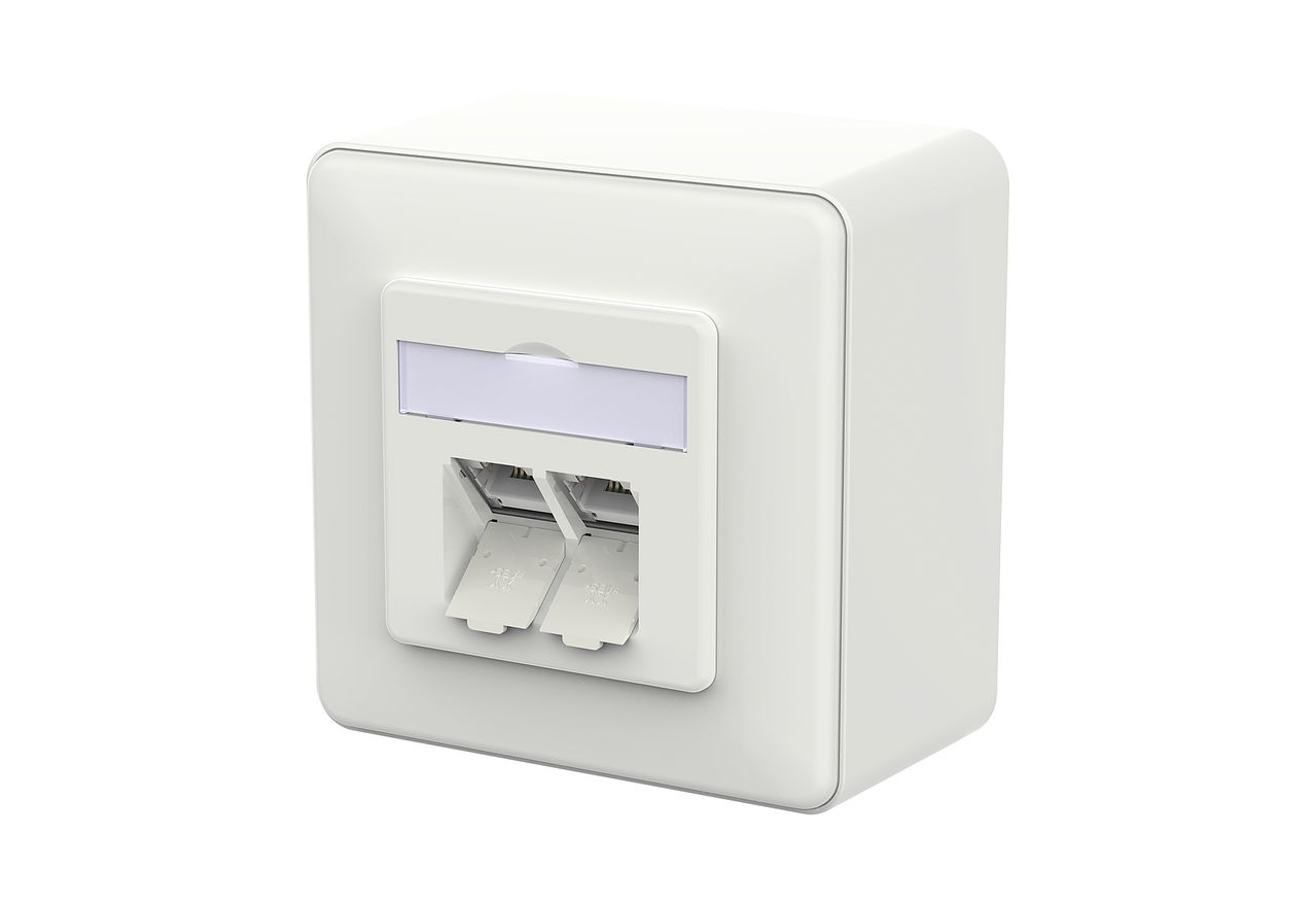 E-DAT C6A IDC 2 Port AP verkehrsweiß