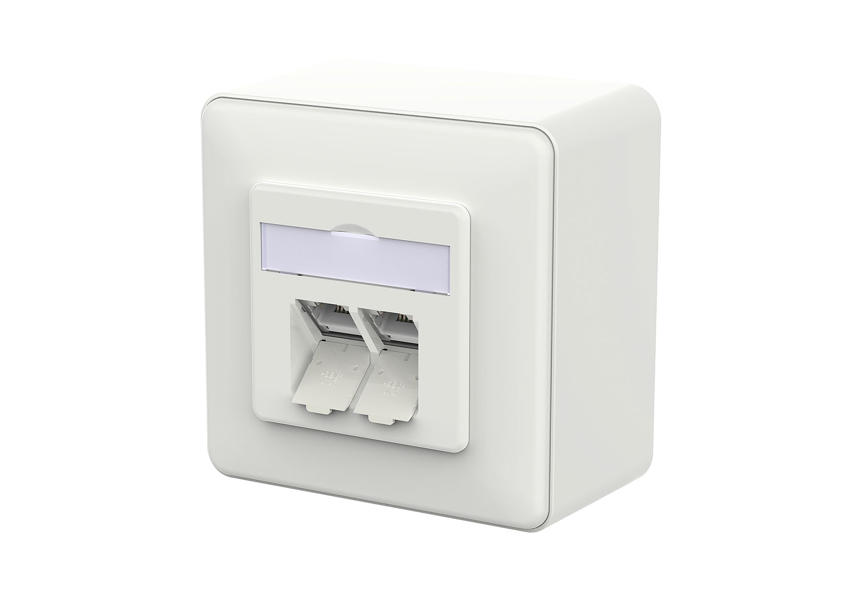 E-DAT C6A IDC 2 Port AP verkehrsweiß