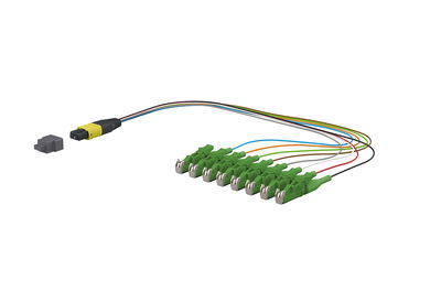 OpDAT Ader-Fanout MTP-M/8xE2000-S APC OS2 0,3 m