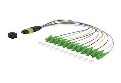 OpDAT Ader-Fanout MTP-M/12xLC-S APC OS2, 0,3 m