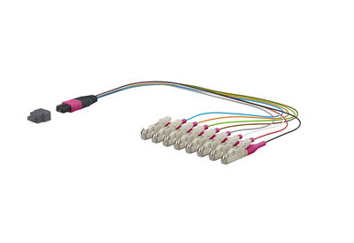 OpDAT Ader-Fanout MTP-M/8xE2000-S OM4 0,3 m